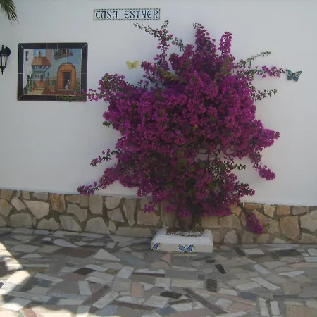 90m2, Airco 2, Pool 5x10, Sandy 200m, Wifi, Carport For 2 Cars. Vakantiehuis *