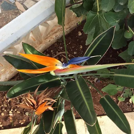 Spacious Family With Airco, Private 5x10m Pool, Sandy 300m, Free Wifi