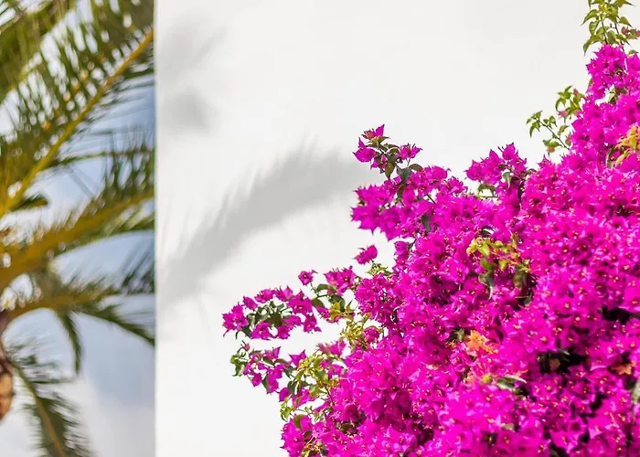 Spacious Family With Airco, Private 5x10m Pool, Sandy 300m, Free Wifi