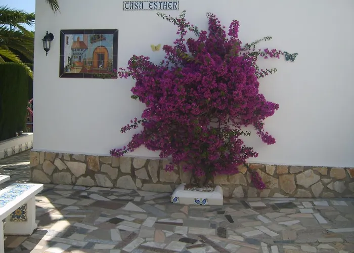 Spacious Family With Airco, Private 5x10m Pool, Sandy 300m, Free Wifi Tatil Evi *