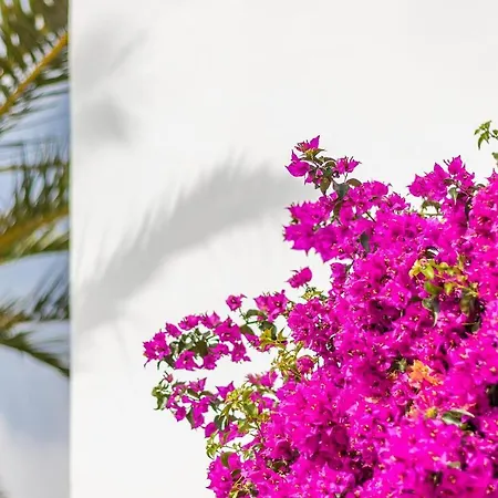 Spacious Family With Airco, Private 5x10m Pool, Sandy 300m, Free Wifi