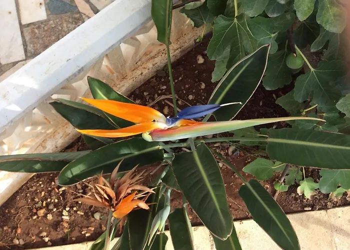 Spacious Family With Airco, Private 5x10m Pool, Sandy 300m, Free Wifi